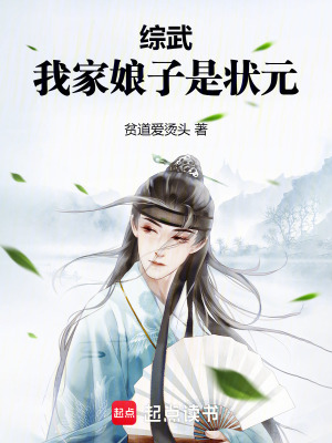 综武：我家娘子是状元